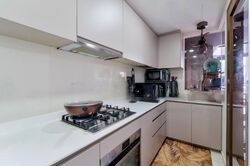 The Visionaire (D27), Condominium #463728891